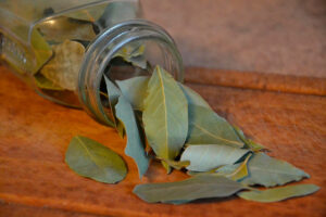 té de hojas de laurel